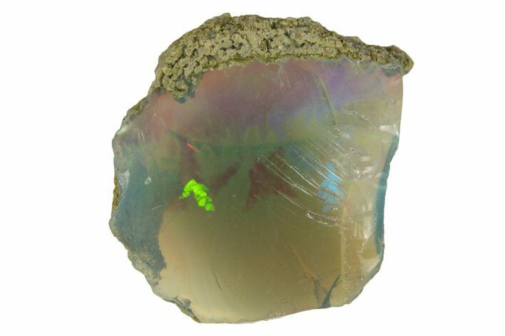 Brilliant Precious Ethiopian Fire Opal ( grams) #333461